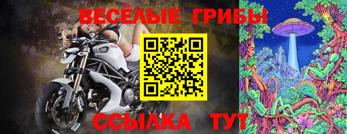 Галлюциногенные грибы прущие грибы Норильск