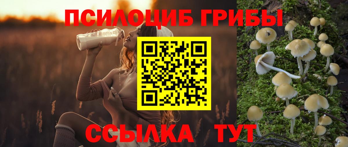 Норильск  Галлюциногенные грибы прущие грибы  Вход с VPN 
